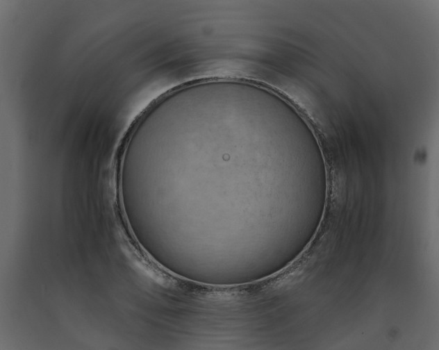 X0000091651078200708231216