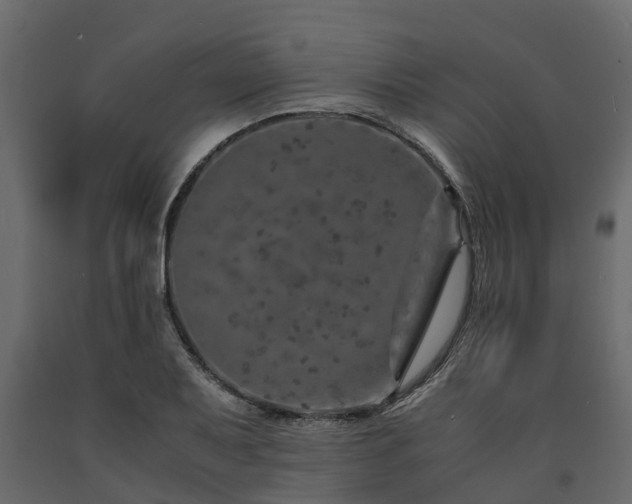 X0000091651079200708231216