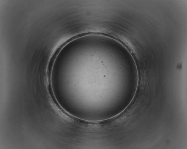 X0000091651080200708231216