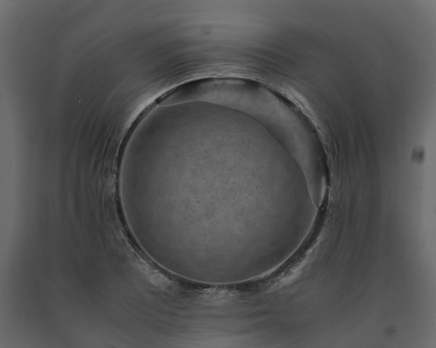 X0000091651081200708231216