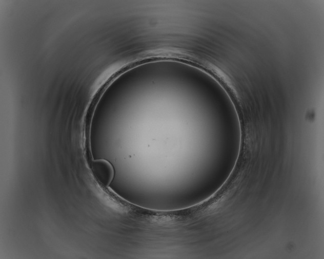 X0000091651082200708231216
