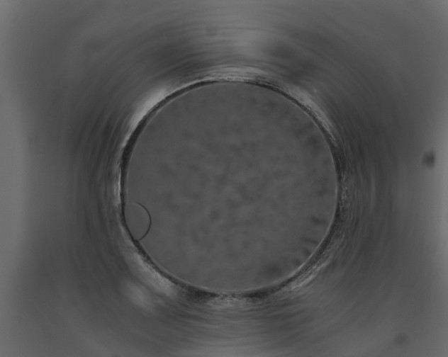 X0000091651083200708231216