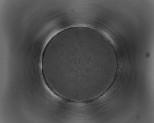 X0000091651084200708231216