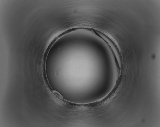 X0000091651085200708231216