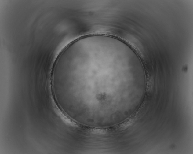 X0000091651086200708231216