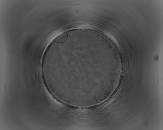 X0000091651087200708231216