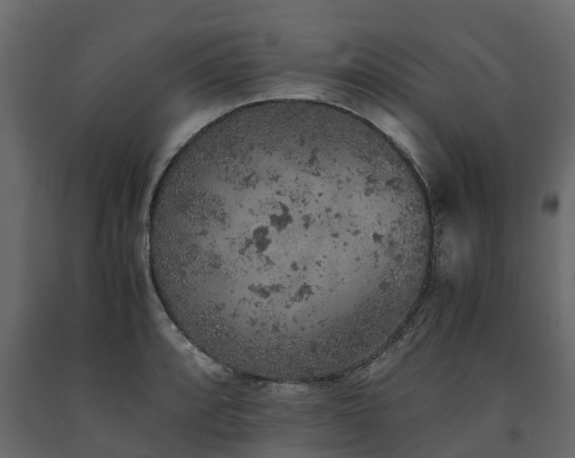 X0000091651088200708231216