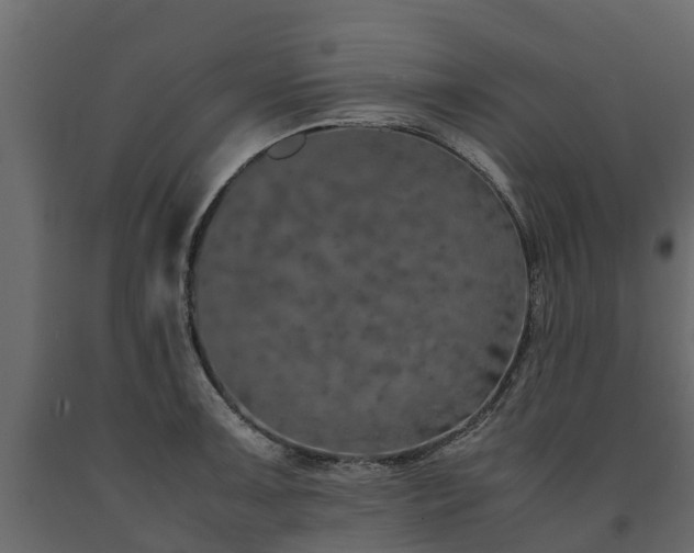 X0000091651091200708231216