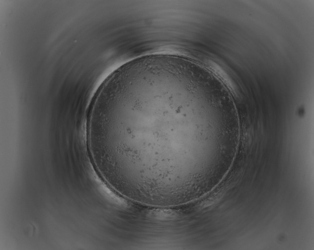 X0000091651092200708231216