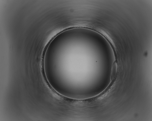 X0000091651093200708231216