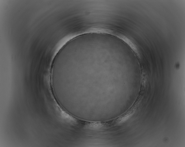 X0000091651094200708231216