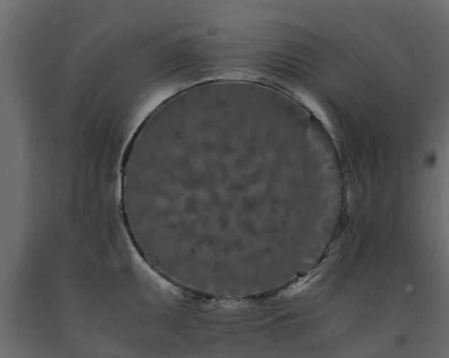 X0000091651095200708231216