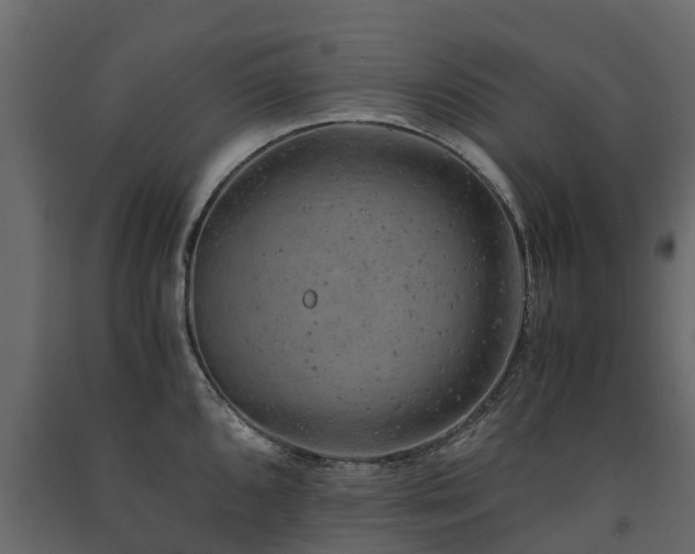 X0000091651096200708231215