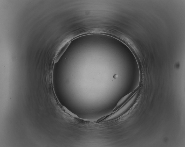 X0000091651097200708231215