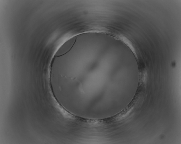 X0000091651099200708231215