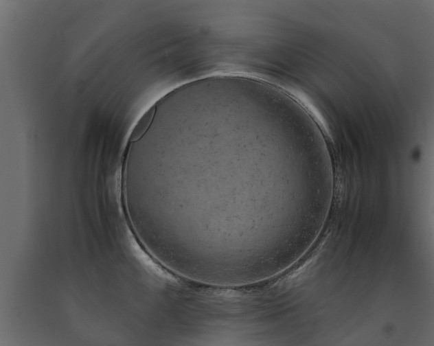 X0000091651100200708231215