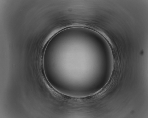 X0000091651101200708231215