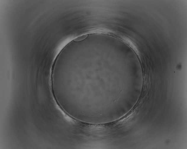X0000091651103200708231215