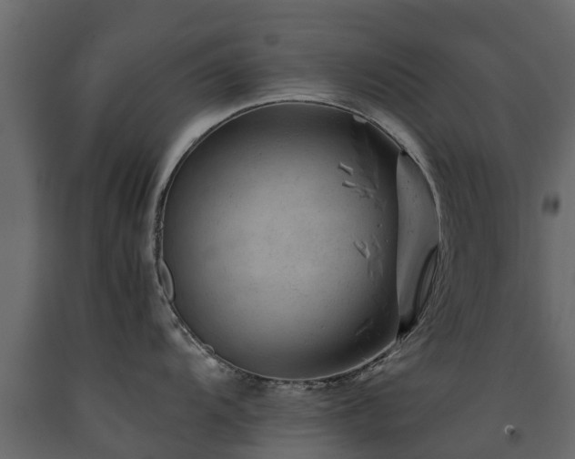 X0000091651104200708231215
