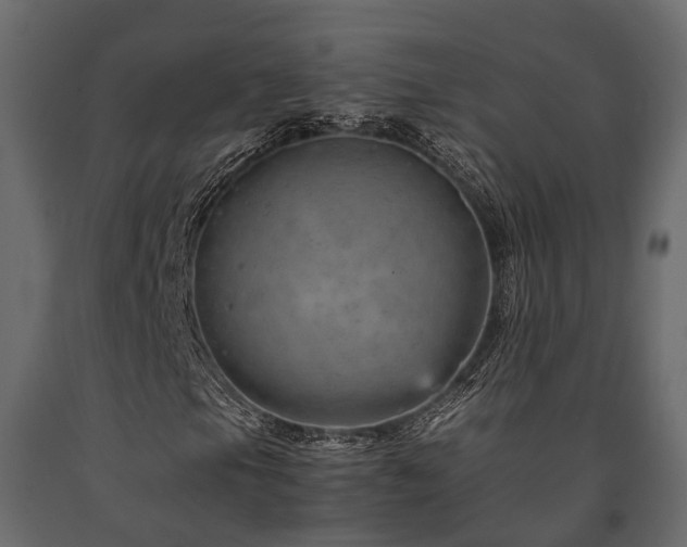 X0000091651105200708231215