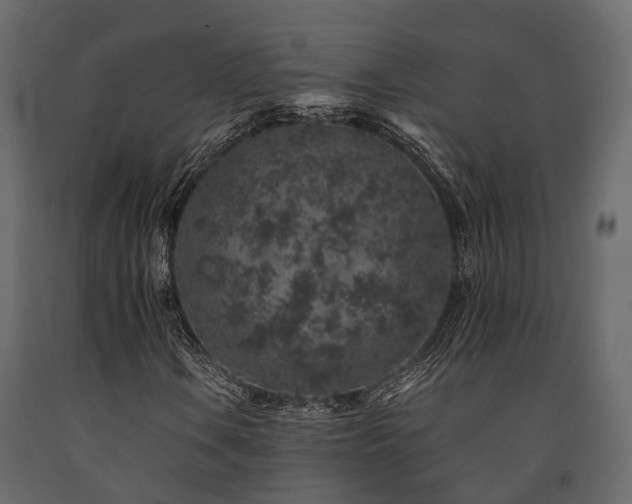 X0000091651106200708231215