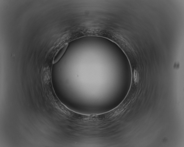 X0000091651107200708231215