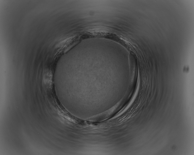 X0000091651108200708231215