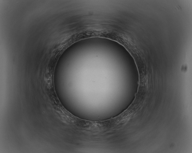 X0000091651109200708231215