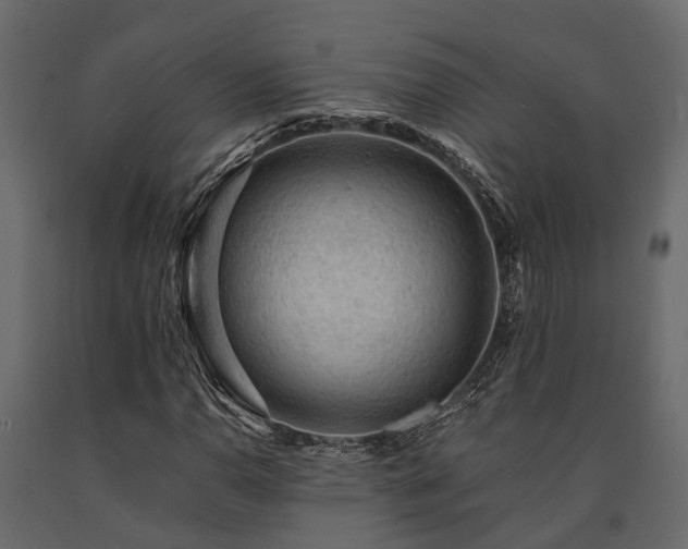 X0000091651110200708231215