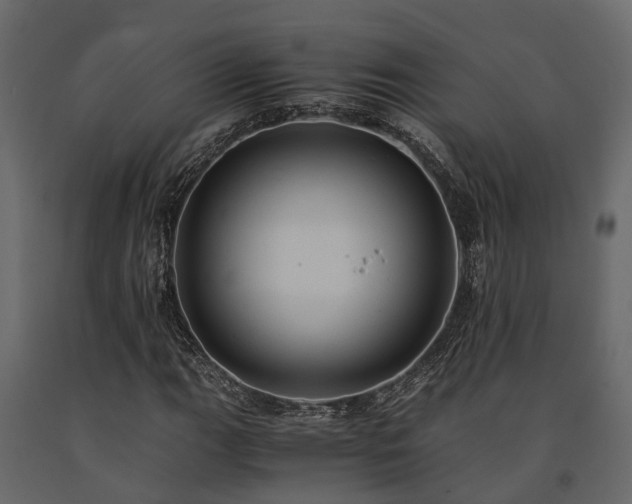 X0000091651111200708231215