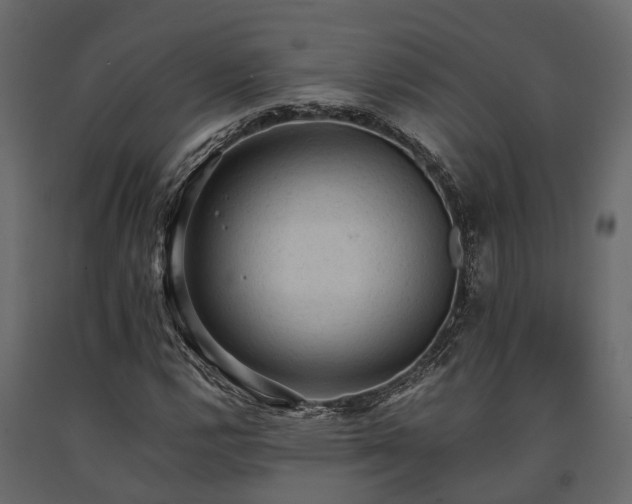 X0000091651112200708231215