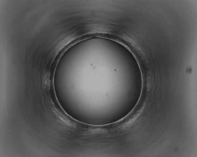 X0000091651113200708231215