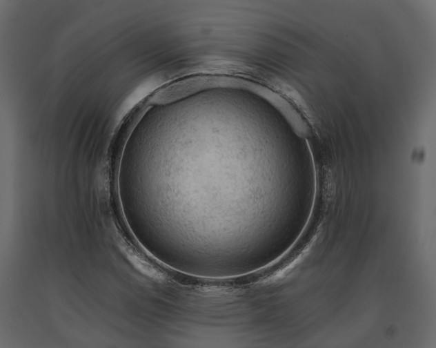 X0000091651114200708231215