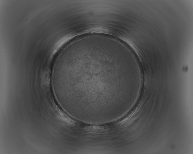 X0000091651115200708231215