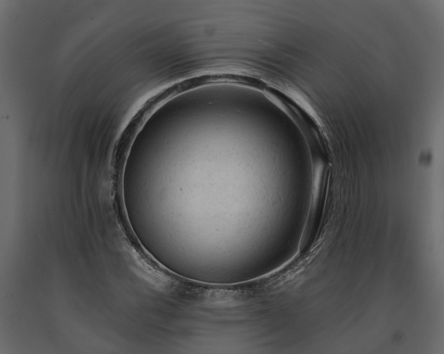 X0000091651116200708231215
