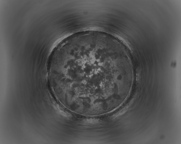 X0000091651117200708231215