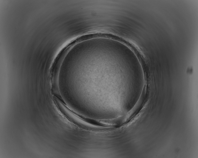 X0000091651118200708231215