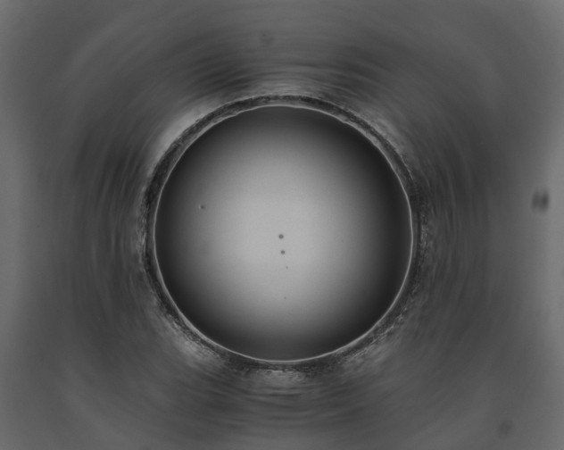 X0000091651119200708231215