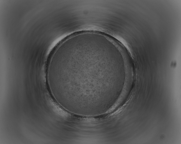 X0000091651120200708231215