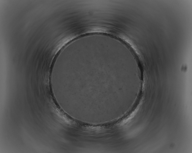 X0000091651121200708231215