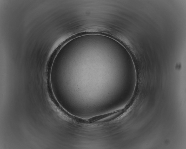 X0000091651122200708231215