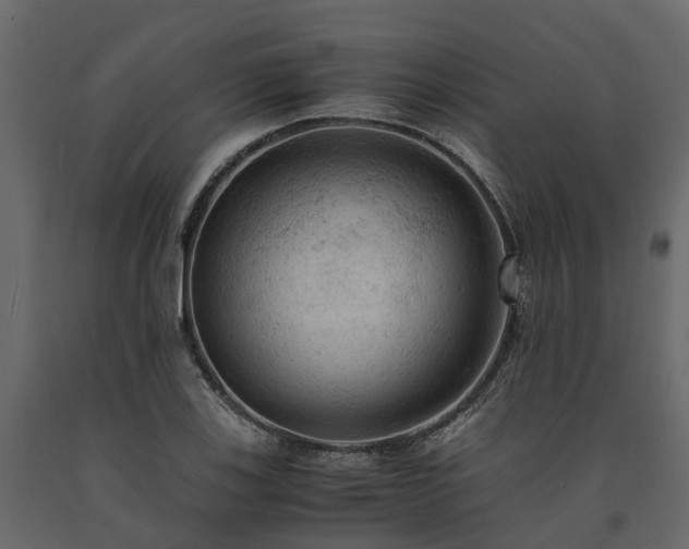 X0000091651123200708231215