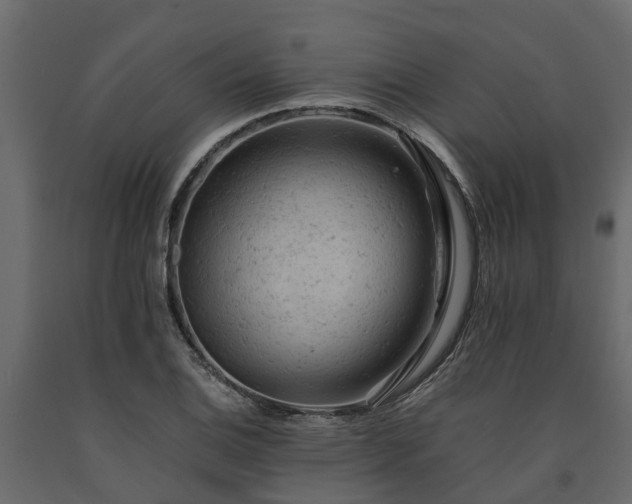 X0000091651124200708231215