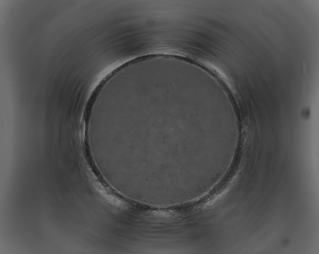 X0000091651125200708231215