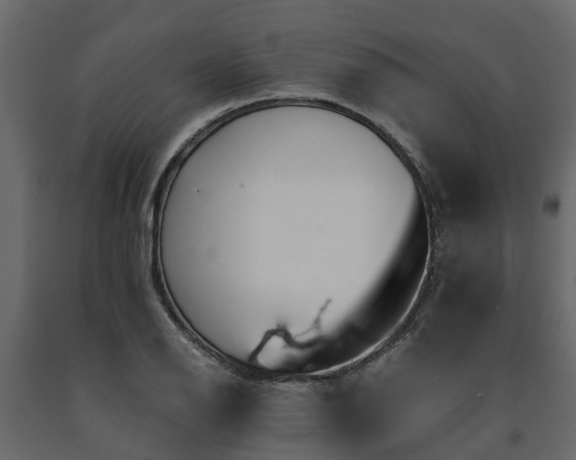 X0000091651126200708231215