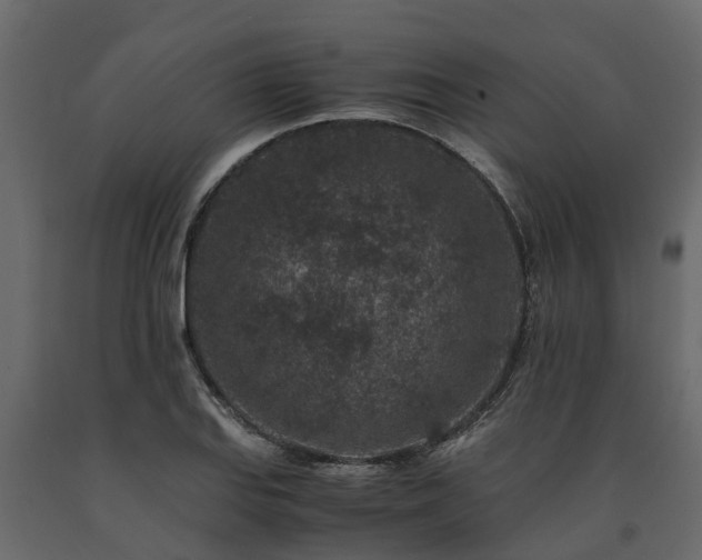 X0000091651127200708231215