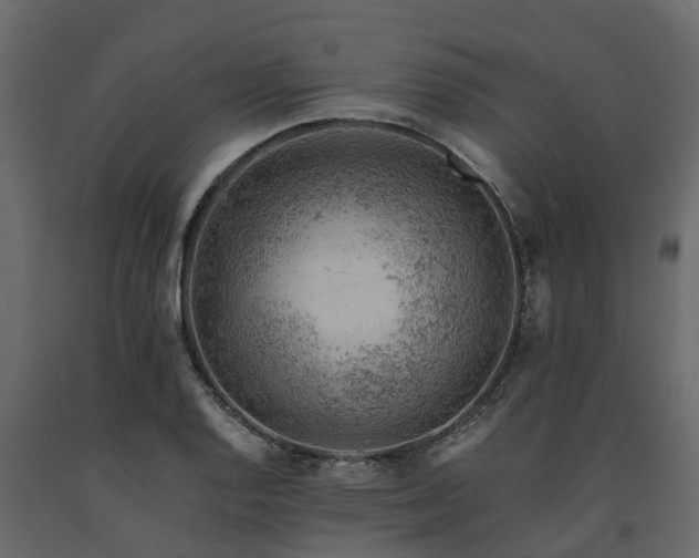 X0000091651128200708231215