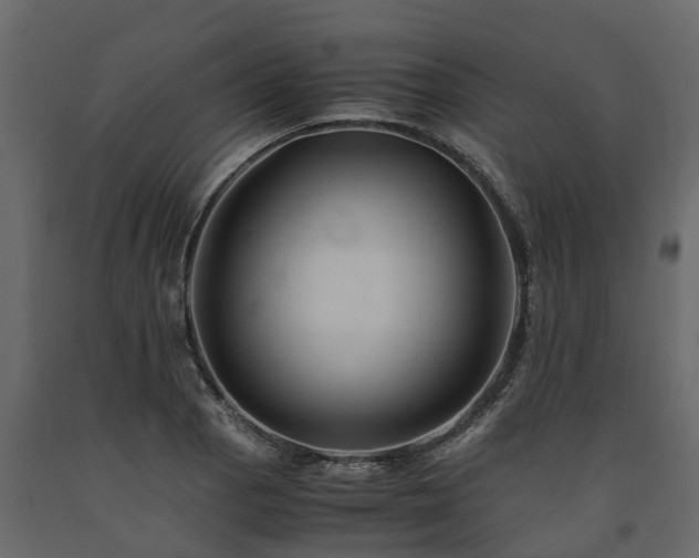 X0000091651129200708231215