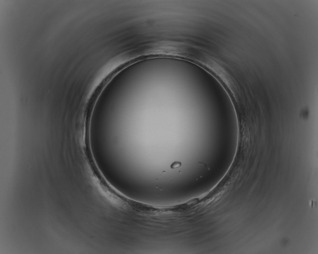 X0000091651131200708231215