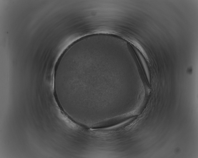 X0000091651132200708231215